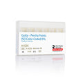 Dentsply Gutta Percha Points 6% Taper – Pack of 60